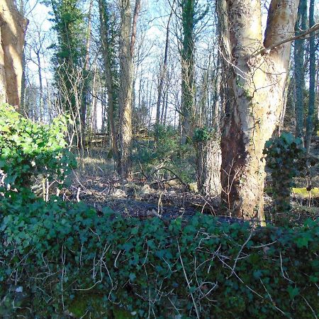 Dreamwood Cottage, Loch Lomond, Luxury Apartment. Glasgow Extérieur photo
