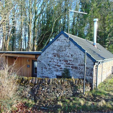 Dreamwood Cottage, Loch Lomond, Luxury Apartment. Glasgow Extérieur photo