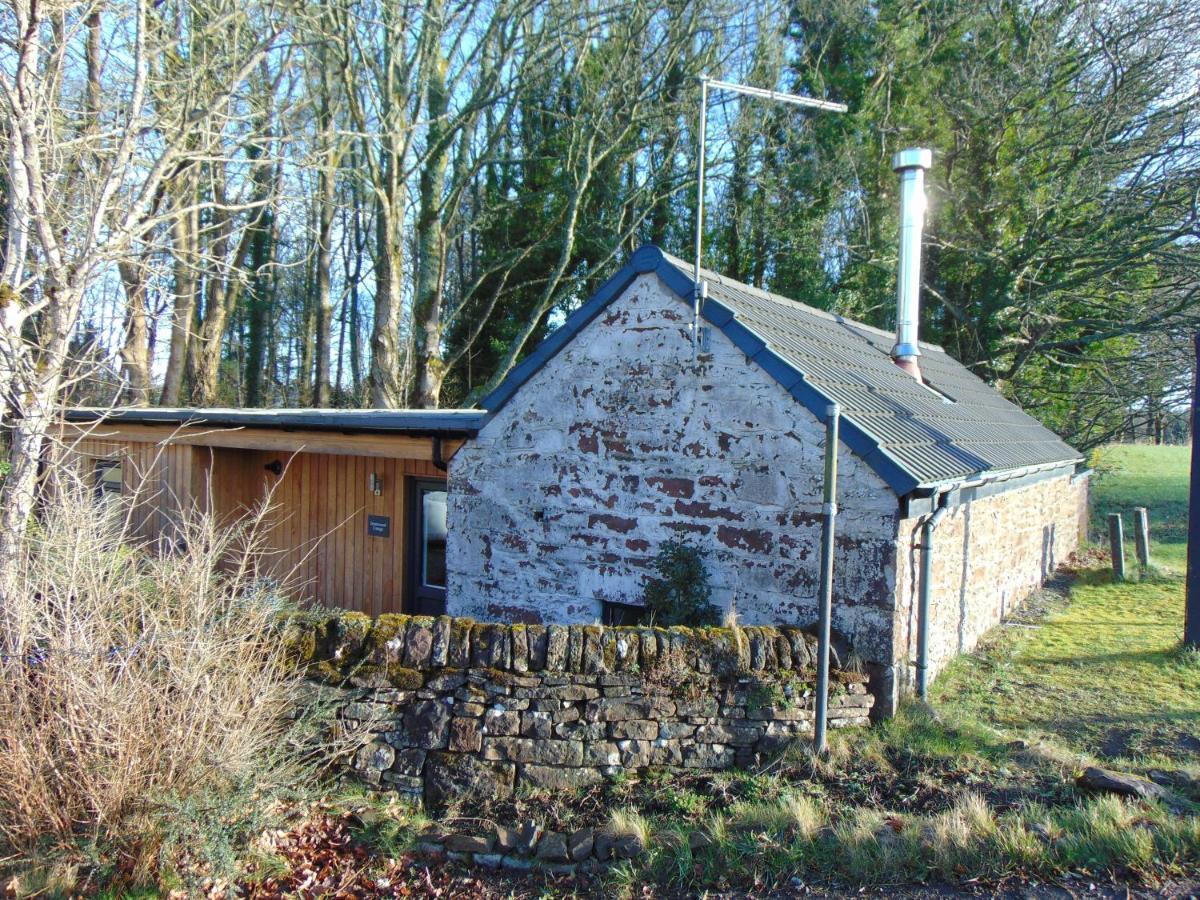 Dreamwood Cottage, Loch Lomond, Luxury Apartment. Glasgow Extérieur photo