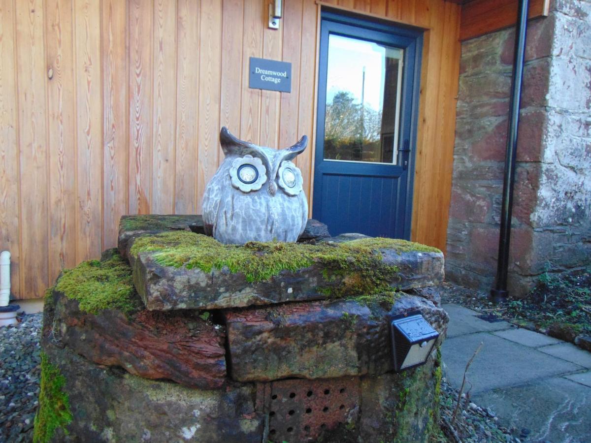 Dreamwood Cottage, Loch Lomond, Luxury Apartment. Glasgow Extérieur photo