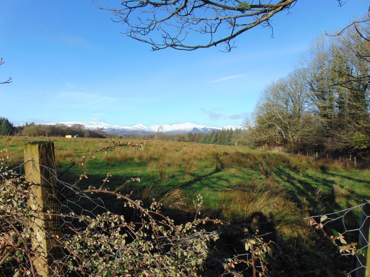 Dreamwood Cottage, Loch Lomond, Luxury Apartment. Glasgow Extérieur photo